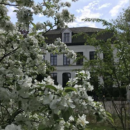 Pastorie Caeneghem Bed & Breakfast Kanegem Exterior photo